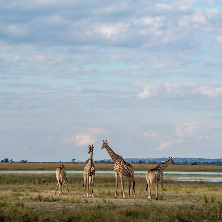 Okavango Lodge Livingstone Eksteriør billede