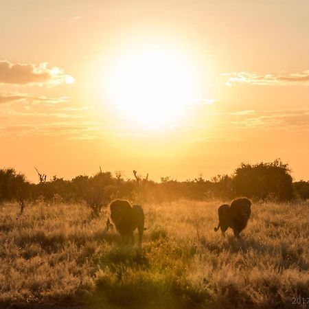 Okavango Lodge Livingstone Eksteriør billede