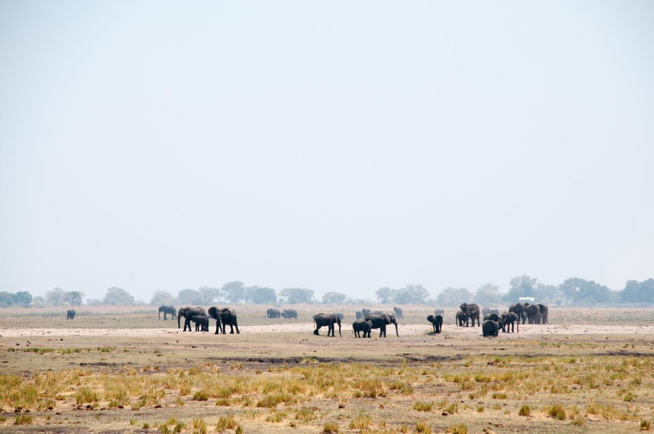 Okavango Lodge Livingstone Eksteriør billede