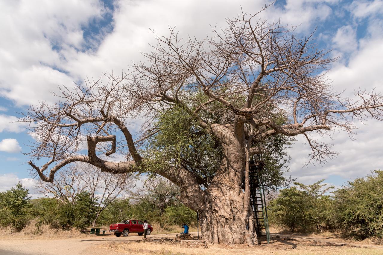 Okavango Lodge Livingstone Eksteriør billede