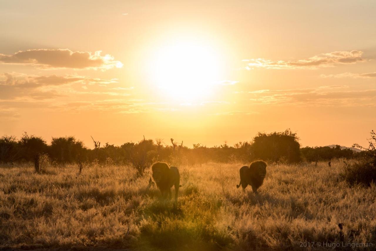 Okavango Lodge Livingstone Eksteriør billede
